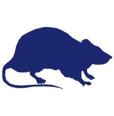 rodent exterminator icon
